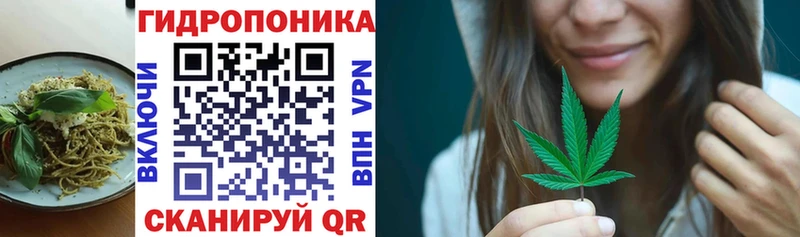 Еда ТГК конопля  Новодвинск 