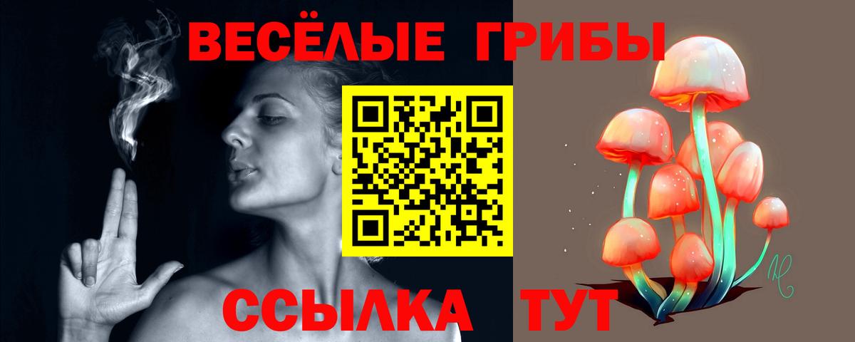 где купить наркоту  Вход с VPN  Новодвинск  Галлюциногенные грибы Psilocybine cubensis  Галлюциногенные грибы Psilocybe 